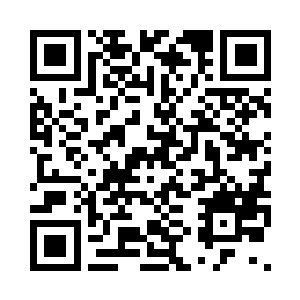 就像是三个凡人入了白雾蒙蒙的森林二维码生成