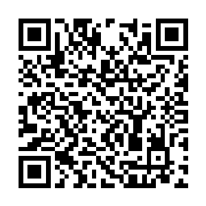 就像是人类中的至强者也无法接受宇宙至暗的真相二维码生成