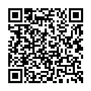 就像是冷冻卵子试管婴儿和试管婴儿的区别一样二维码生成