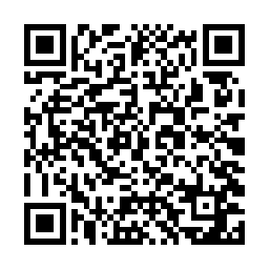 就像是对这大地生长的一切都有着什么深仇大恨似的二维码生成