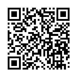 就像是所有的燕子坞人都要尊重先生一样二维码生成