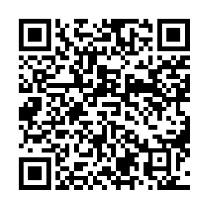 就像是把脑袋里装着的无数的信息片段全部都摇动了起来二维码生成