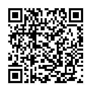 就像是段明说的那样这些东西对禹欢几人来说是问题二维码生成