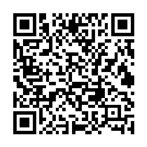 就像是没有听到陈大海说话没有看到陈大海敬酒似的二维码生成