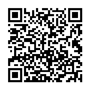 就像是深绿色的数字雨浸入了矩阵世界的每个物体中二维码生成