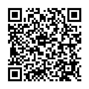 就像是眼睁睁看着一头霸王龙在自己面前张开血盆大口二维码生成