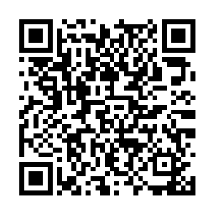 就像是童年时指挥全家人游玩迪士尼一样酷劲十足二维码生成