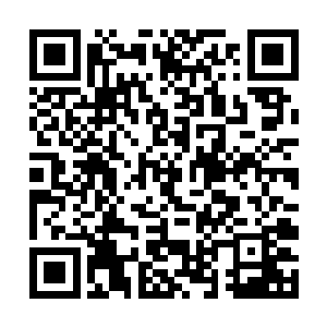 就像是美人迟暮却偏要浓妆艳抹扮出青春靓丽的样子二维码生成