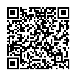 就像是陨石带来了一种这个生态系统中从未出现过的病毒二维码生成