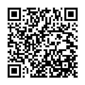 就像是雇佣利奥波德一样找几个连吃饱饭都有点儿问题二维码生成