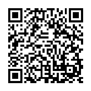 就像有一股无形的锁链拴在他和那个拿着重锤的驭兽师身上一样二维码生成