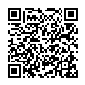 就像每个慈爱的母亲看到病入膏肓的儿女突然好转一样二维码生成