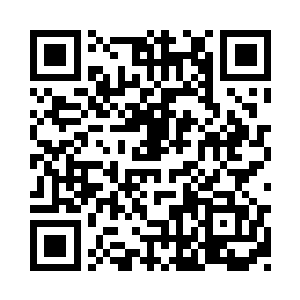 就像狐狸与雄狮一样根本没有可比性二维码生成