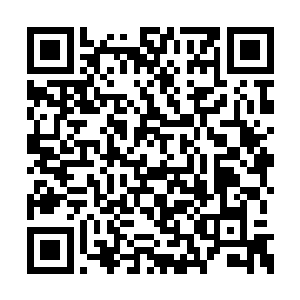 就像粪坑里的石头……还是以前温柔的样子可爱二维码生成