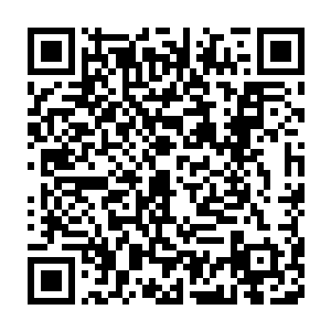 就像自己和隋棠她爸就那么不经意间的青春激情爆发就能酝酿一个生命二维码生成