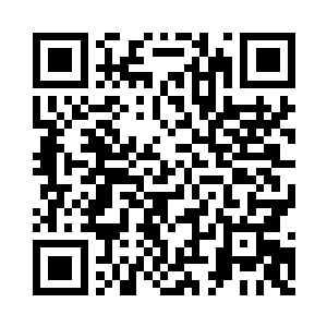 就像被无数明灭不定的法则线包裹的大粽子二维码生成