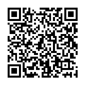 就像见到了鬼一般盯着自己那官印在夏云杰手中吞吐着光芒二维码生成