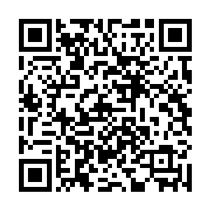 就像这一方世界不可能出现道源三层境以上的强者一样二维码生成