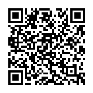 就像这些书山不知道为什么会突然间冒出来一样二维码生成