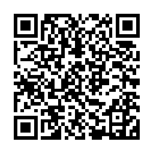 就像魔族骑士无法让曼殊沙华因缘万果宝树凝聚任何果实一样二维码生成