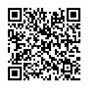 就先后捧红了此前默默无闻的廖辽和五行吾素组合二维码生成