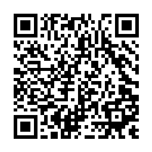 就兴高采烈的去大石头背后和自己的爷爷说话去了二维码生成