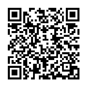 就再也没有再见的机会了――要么张潇晗选择离开人域二维码生成
