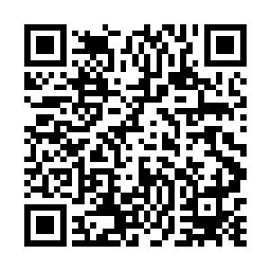 就冲你经常梦到女扮男装的好哥们儿胯下探出一条巨蟒二维码生成