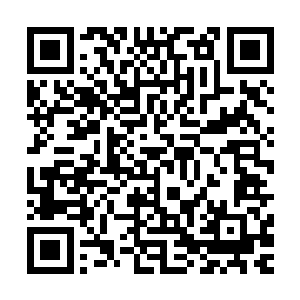 就冲这匪夷所思的十个选手……这节目也已经是传说了吧……二维码生成