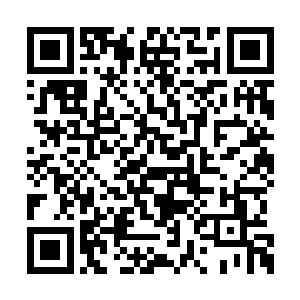 就凭人家一个电话就能让麻生次郎直接滚回日本二维码生成