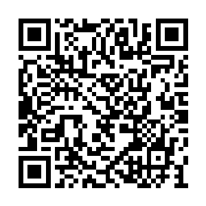 就凭人家一个电话能直接把麻生商树叫到中国来二维码生成