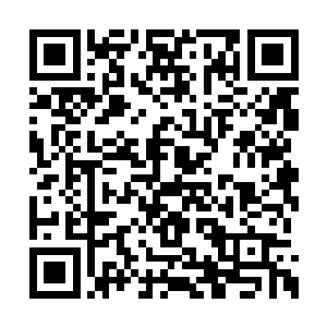就凭他有智慧这一点就足以衬托他的非同小可了二维码生成