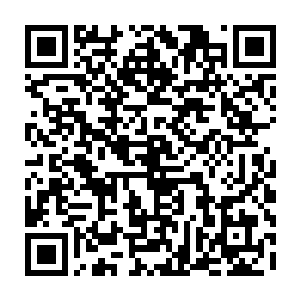 就凭你们张家父子在集团里的那百分之几的股份也配叫来这么多人对付我二维码生成