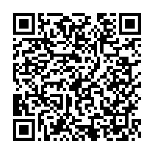 就凭你们那二百多个地尊期修士能够抵挡我们这边四百多仙尊的围攻吗二维码生成