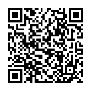 就凭你现在的态度想在凤君泽面前演好根本不可能二维码生成