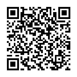 就凭我过去三年来的无数次征战所积累下的无数经验二维码生成