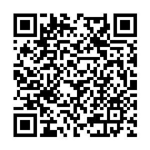 就凭这三个能不能搞定我家里的四条狗还不一定呢二维码生成