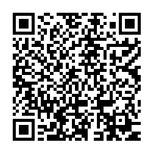 就凭那先天蟠桃树的一条根便能重新栽培出另外一株先天蟠桃树吗二维码生成