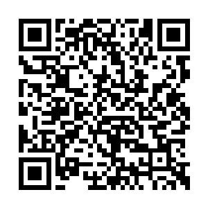 就努力尝试着让他去面对和克服花样繁多的障碍二维码生成