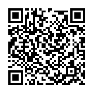 就华夏国那随便捡几个草根树叶熬汤喝下去的中医二维码生成