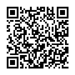 就单单秦嫣然对叶之飞和林烽两个人态度的截然不同二维码生成