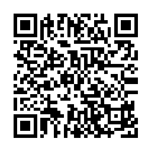 就又有二十几只足有半人大小的飞天蚁飞了过來二维码生成