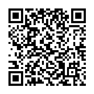 就发展成了天狼国散修联盟的一个超级大的散修组织二维码生成