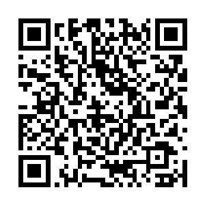 就发现一个身披蓝色披风的男子打着伞站在不远处二维码生成