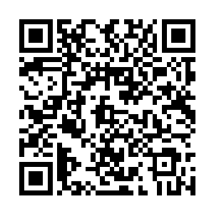 就发现两只凶猛冷酷的大老虎全都从地上站了起来二维码生成