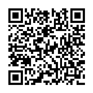 就发现眼前的这朵灵莲的影像有那么一瞬间的黯淡二维码生成