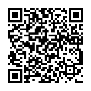 就发现那宫车上的县主和这边坐着的老太太都不说话二维码生成