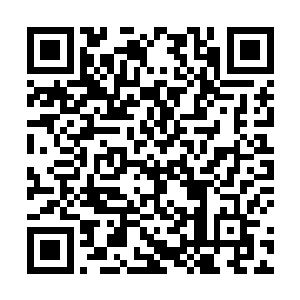 就发觉脚下完全就是一条看起来十分坚实的淡金色通道二维码生成