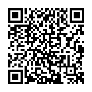 就只不过是芝安市一个普通的工薪阶层家的孩子二维码生成