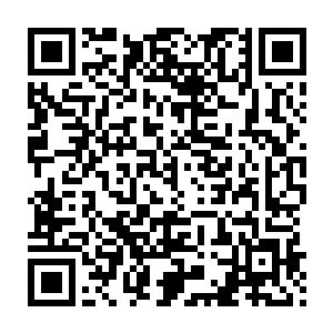 就只剩下了神木岛海域猎海殿序列的诸位战队令主和倪泉这个领队二维码生成